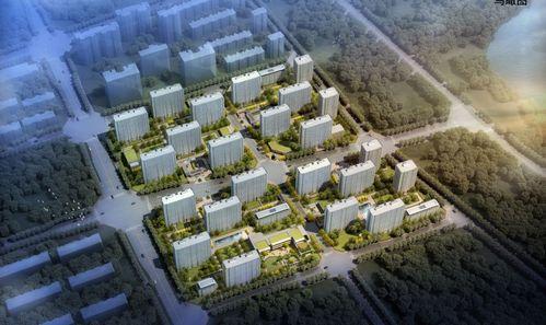 齐河绿城爆料最新消息今天